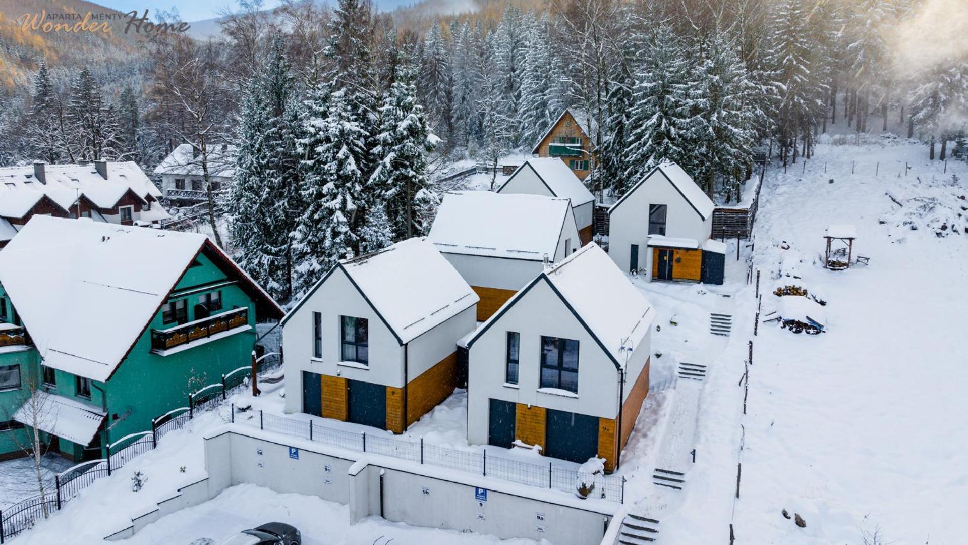 Wonder Home - Domki Gorskie Wolnostojace Z Prywatnymi Tarasami - Zielona Okolica Карпач Экстерьер фото