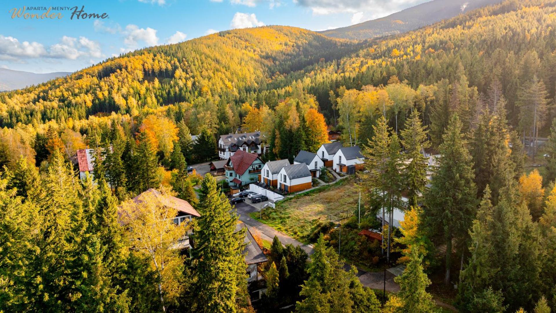 Wonder Home - Domki Gorskie Wolnostojace Z Prywatnymi Tarasami - Zielona Okolica Карпач Экстерьер фото