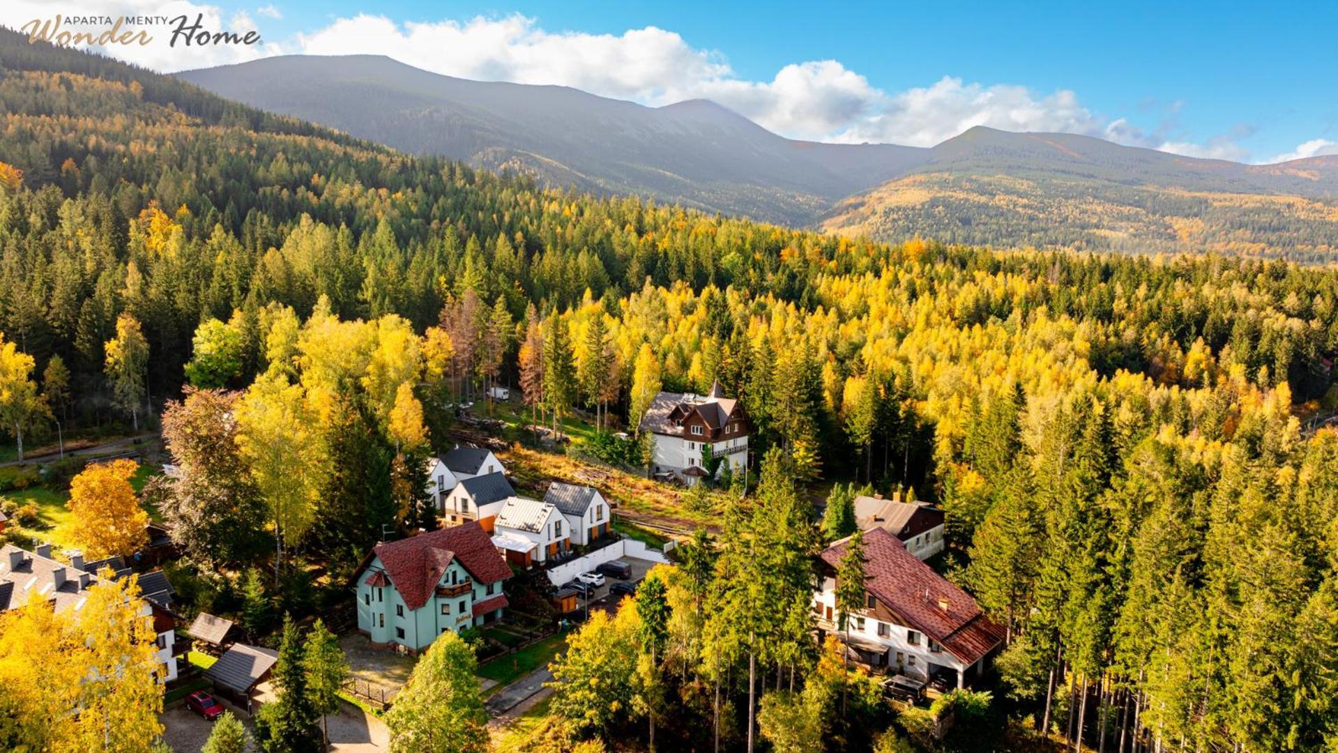 Wonder Home - Domki Gorskie Wolnostojace Z Prywatnymi Tarasami - Zielona Okolica Карпач Экстерьер фото